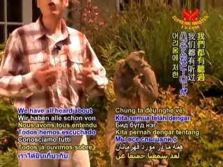 Animal and Their Caregivers: Stories of Hearty Friendships