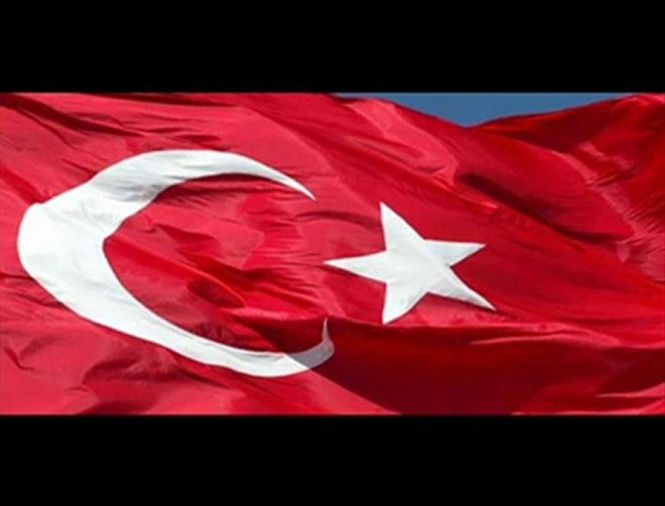 Taşları Bağlamışlar Köpekler Serbest !!!