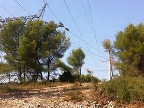 Ligne THT Lavera-Réaltor - RTE en infraction sur les lois de l'environnement et de l'énergie