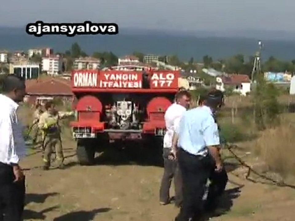 ciftlikkoyyangin