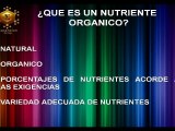 ¡Dile Adios a los Químicos! (nutricion y salud)