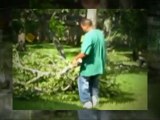 Finest Austin Tree Service|Austin Tree Pruning|(512) 731-895