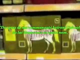 Dailymotion - La musique n'a pas sa place en Islam - une vidéo Vie pratique