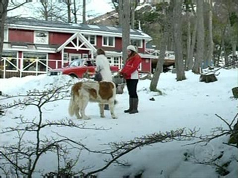 A Vida da Gente 30/09/2011 4/4 Sexta Feira