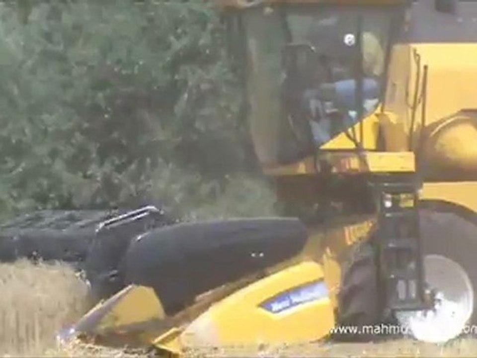 Bicerler Klip: Dino - Bete Nabe