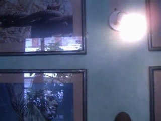 Secretos Tantricospara lograr la Mejor Ereccion