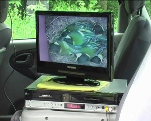 vallée du Goëlo 2011