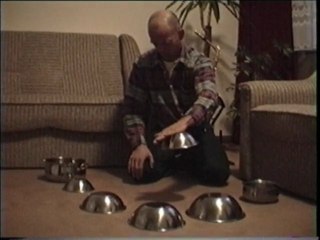 Qigong Chi kung  living energy 气功