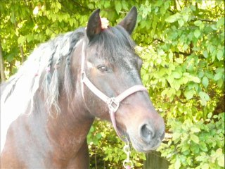 Life is not juste about living , it's about love feeling ... ♥