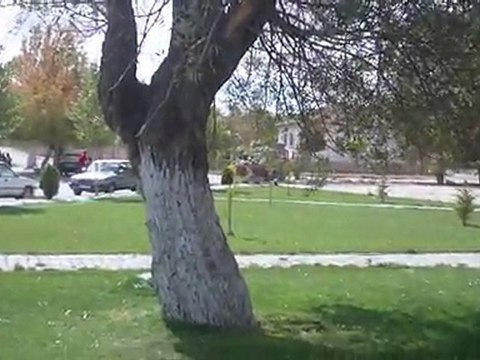 MEVLİD-ALİOSMAN ÖTEN nin-Okuyanlar:Kamil Y. Ramazan K.-Ahmet EMLİK