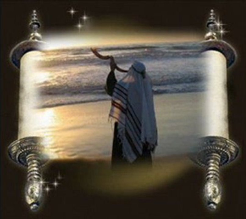 welkom,ברוך הבא ,welcome