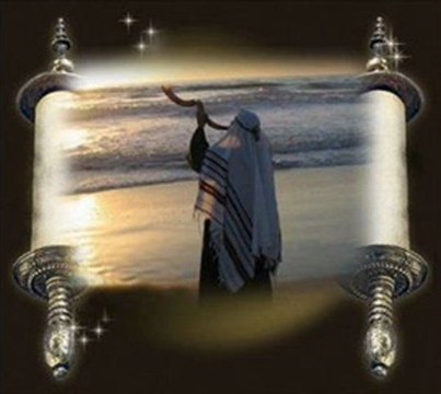 welkom,ברוך הבא ,welcome