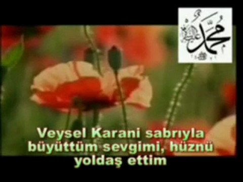 umut murare benseni görmeden sevdim(mecul_05)