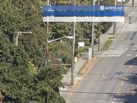 Hamburg - Germany, Agadir - Morocco, Ascona - Ticino - Switzerland, Ekaterinburg - Russia, Warsaw - Poland, Seattle - USA, Barcelona - Spain