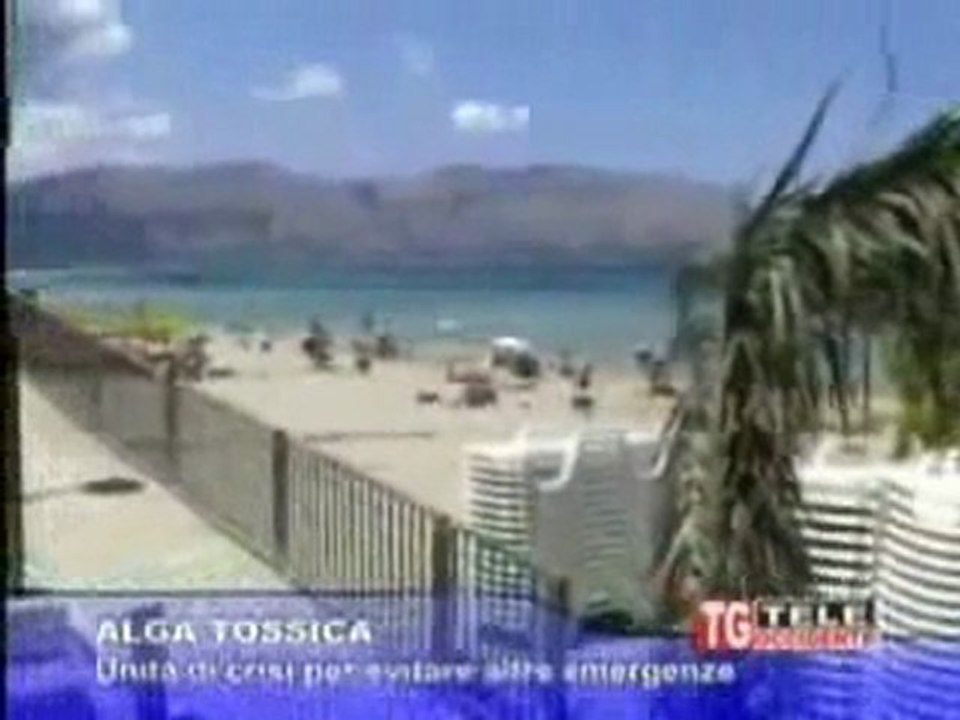 Isola delle Femmine 2007 Pericolo Alga Tossica