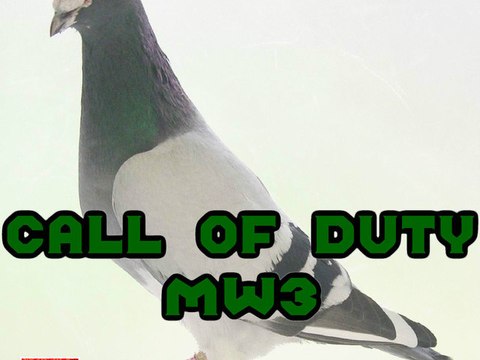 MW2 Yes MW3 No BF3 Yes