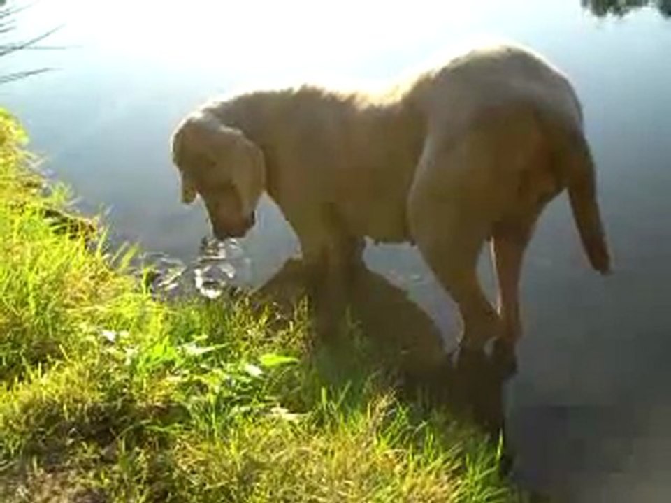 Angun à la pêche.mp4