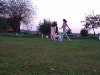 Eclipse tourner court 5