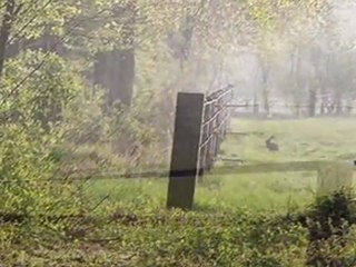 The Music Played - Matt Monreo (Mustafa Dinç)