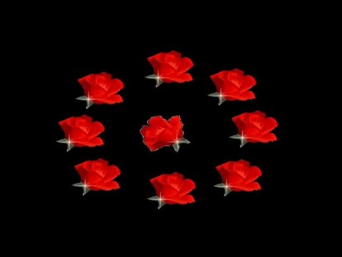 HÜSEYİN KARAKUŞ&DOSTUM DEME BANA