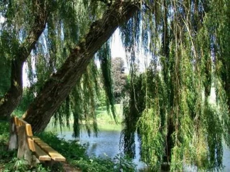 Komm mit .........ins Burgenland