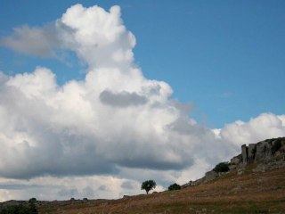 Bernard Dupré - Harrison is gone