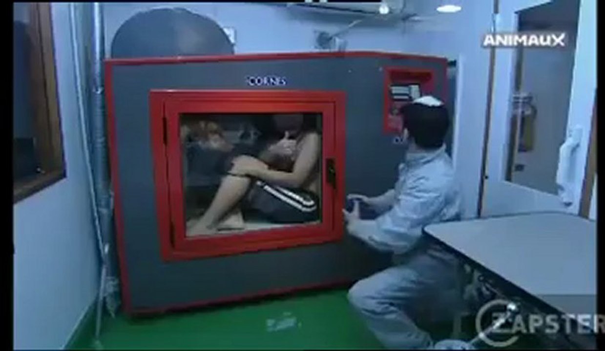Machine a laver pour chien!!