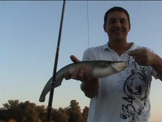 Silure Club Rhodanien : Steph : encore un record !