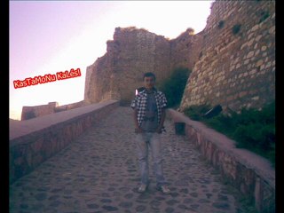 Koyu KahverenGi-Fundy - sinan