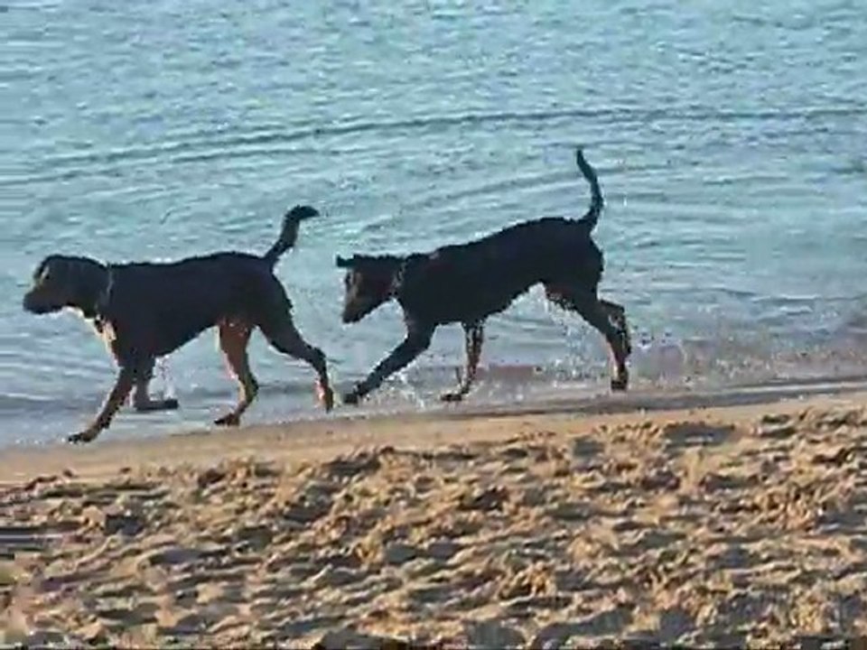 ARES ET LEELOU A LA MER 1_0001