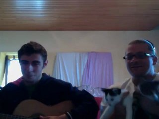 Petit Câlin contre les chatons