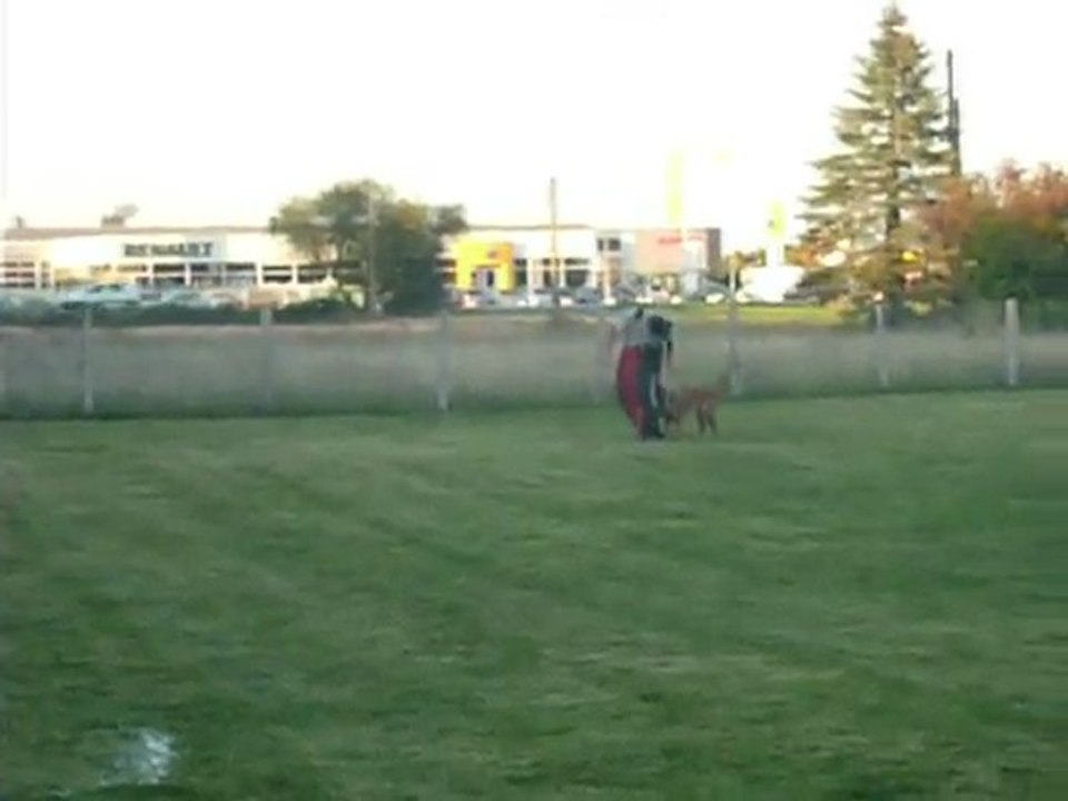 FIDJI - fuyante gauche