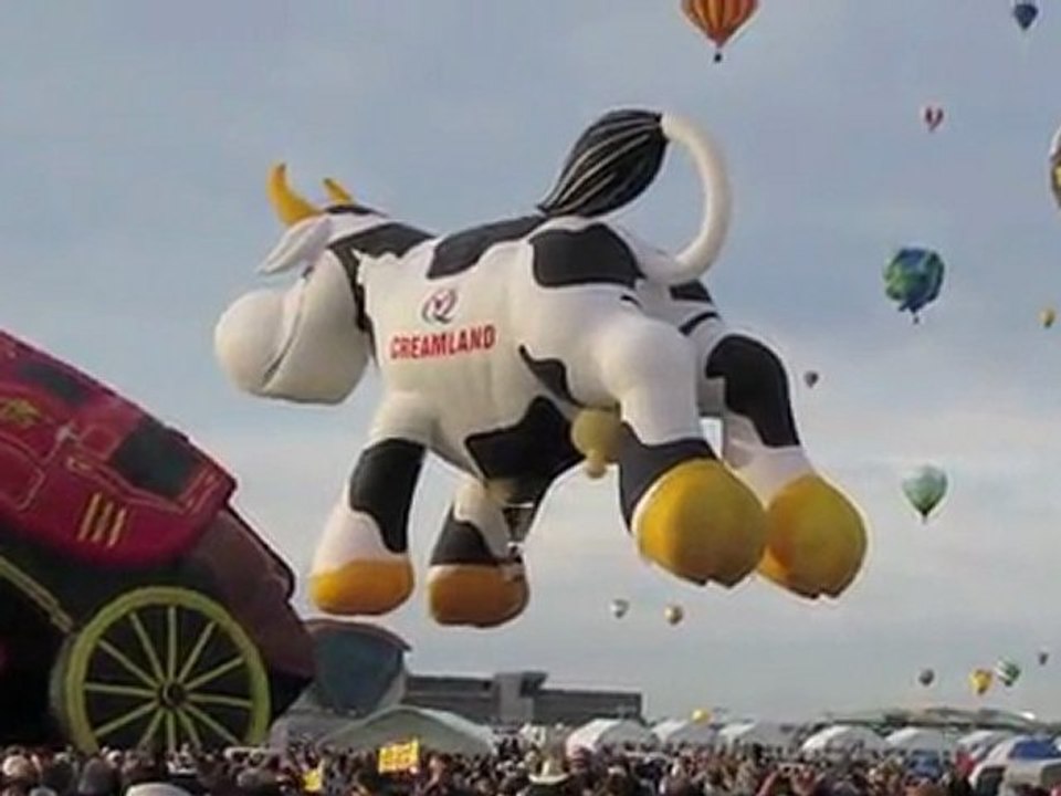 Albuquerque Balloon Fiesta 2010 - Fête des Montgolfières
