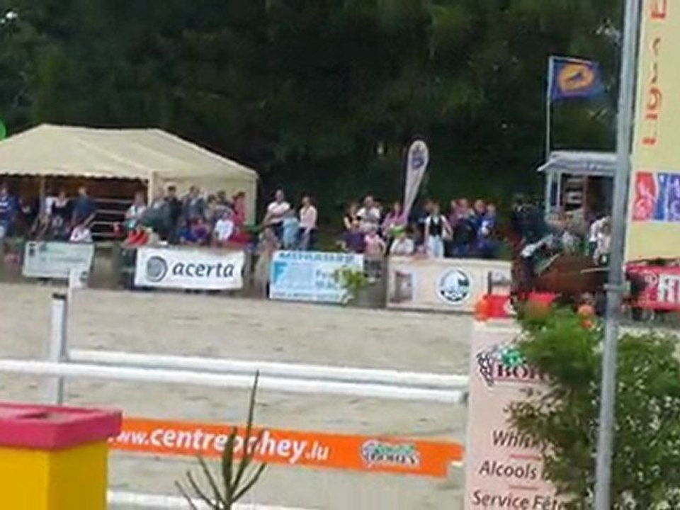 cheval jumping