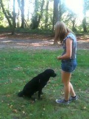 Dune au parc de Saint Cloud très attentive !
