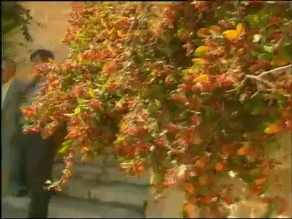 Der letzte Mythos - 18 Nach Nuernberg