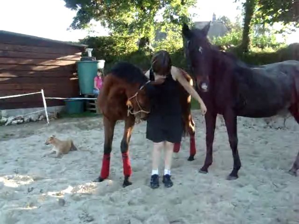 Belle et Miss "steuplait"