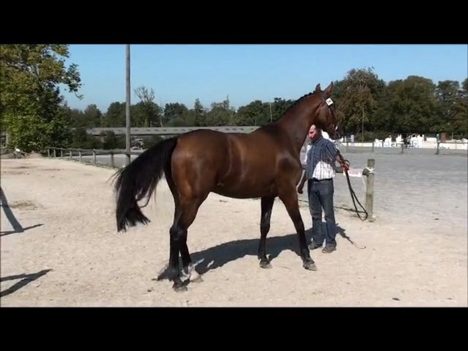 Ukko local 3 ans Auvers