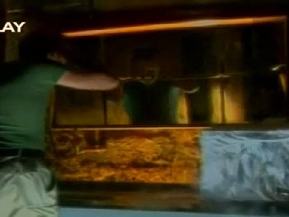 Fatih Erdemci - Ben Ölmeden Önce