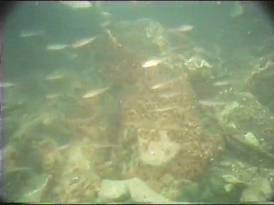Immersione solitaria tra i persici e la biscia video di Clarari Luciano