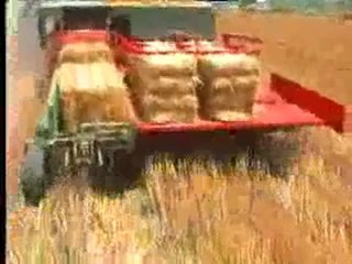 Balya İstifleme Robotu