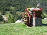 petit moulin de fleurs à Molines