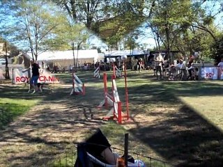 Arthur du Canis Club Pessacais Illacais le 2 10 2011 a CABO