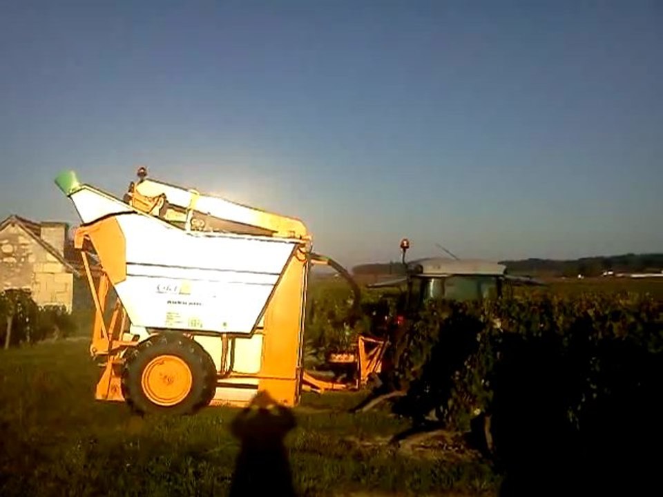 Vendange 2011 Bourgueil machine Grégoire trainé