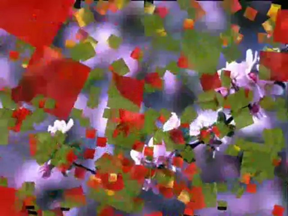 Fleurs, musique et méditation