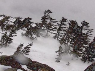 R.Wagner：Die Walkure "Ride of the Valkyries"  ・ Snowstorm