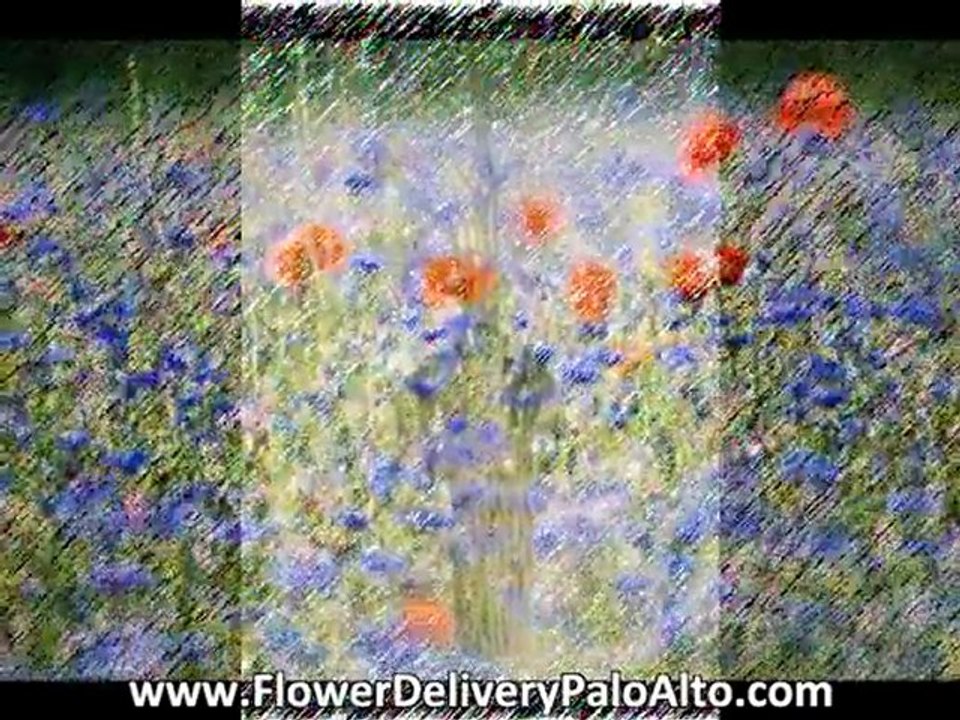 San Jose Flower Shops San Jose CA