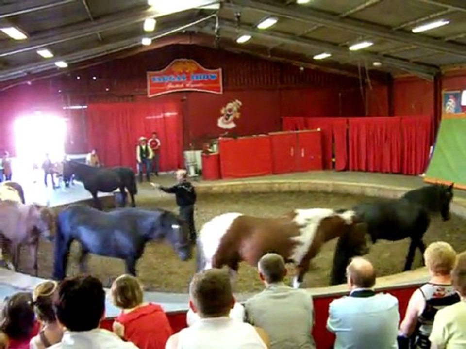 Vargas show