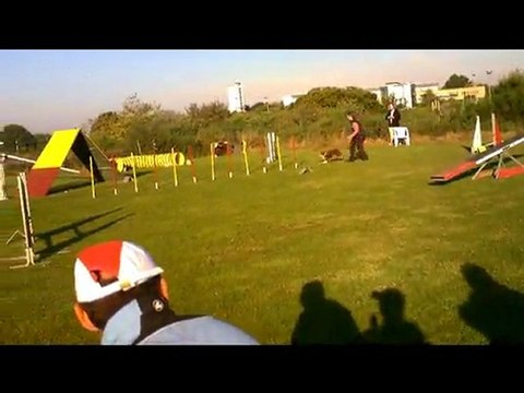 concours agility brest 2 octobre 2011 charlène et celtic