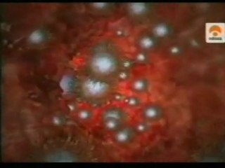 H1N1: Virus de la gripe española